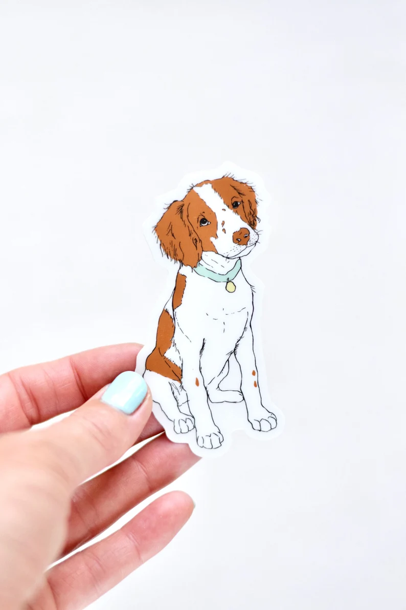 Brittany Spaniel Sticker