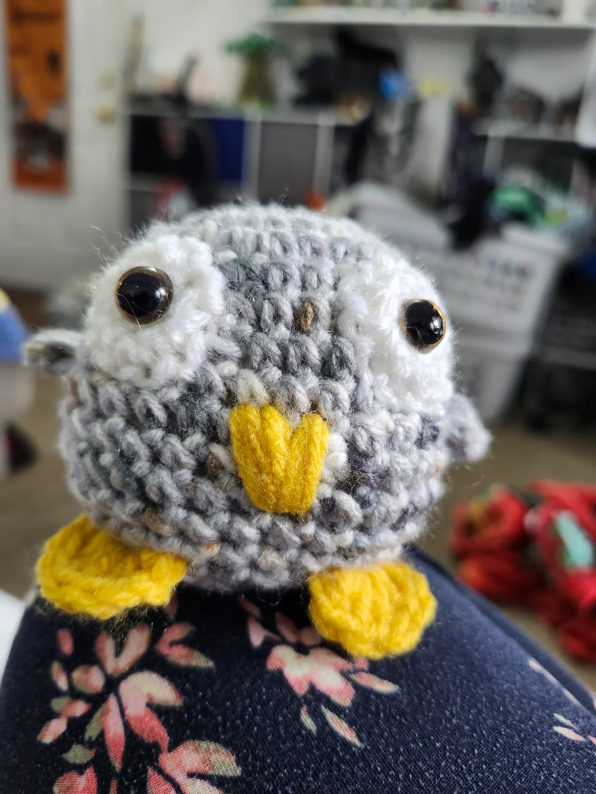 Owlette
